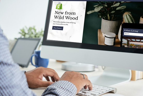 Shopify Developer Shopify Developer